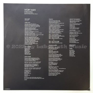 Peter Hofmann - Peter Hofmann 2 • 12" Vinyl LP • MINT - Labyrinth Music