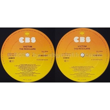 The Regulars - Victim • 12" Vinyl LP - Labyrinth Music