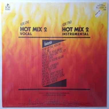 The Bootleggers - Hot Mix 2 • 12" Vinyl Maxi • EX - Labyrinth Music