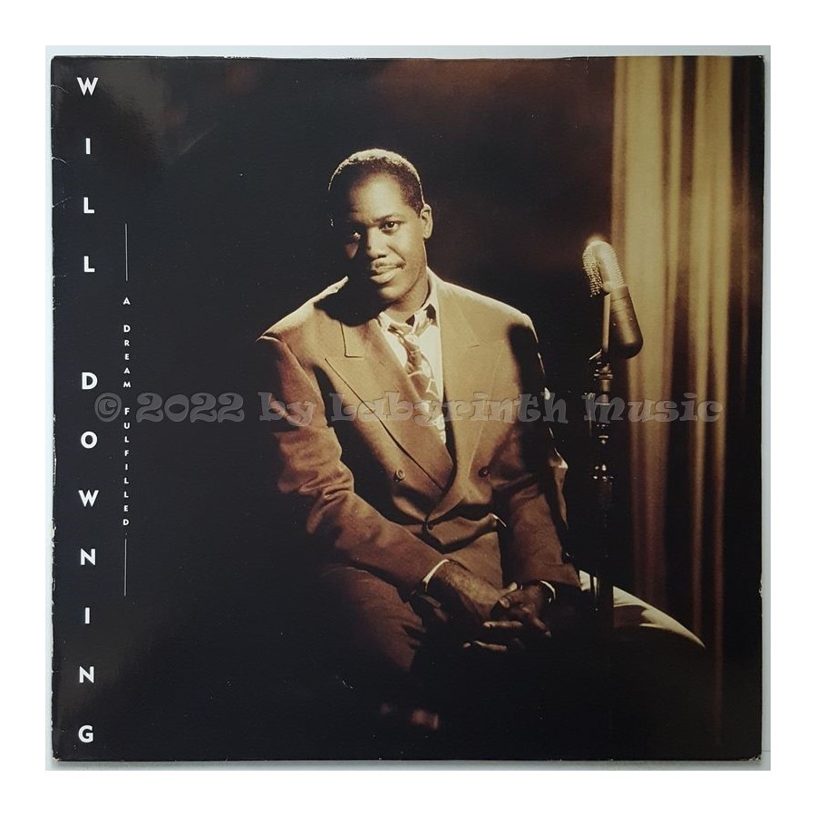 Will Downing - A Dream Fulfilled • 12" Vinyl LP • EX - Labyrinth Music