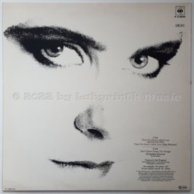 Alison Moyet - That Ole Devil Called Love • 12" Vinyl Maxi • EX - Labyrinth Music