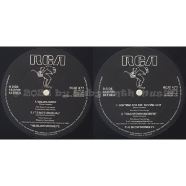 The Blow Monkeys - Wildflower • 12" Vinyl Maxi • EX - Labyrinth Music