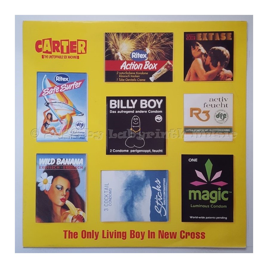 Carter The Unstoppable Sex Machine - The Only Living Boy In New Cross • 12" Vinyl Maxi • NM - Labyrinth Music