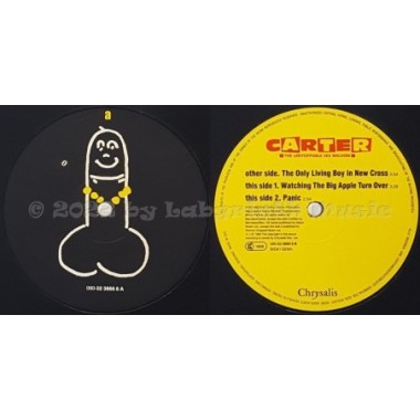 Carter The Unstoppable Sex Machine - The Only Living Boy In New Cross • 12" Vinyl Maxi • NM - Labyrinth Music