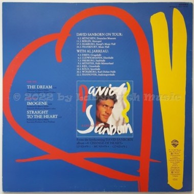 David Sanborn - The Dream • 12" Vinyl Maxi • EX - Labyrinth Music