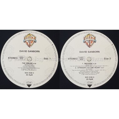 David Sanborn - The Dream • 12" Vinyl Maxi • EX - Labyrinth Music