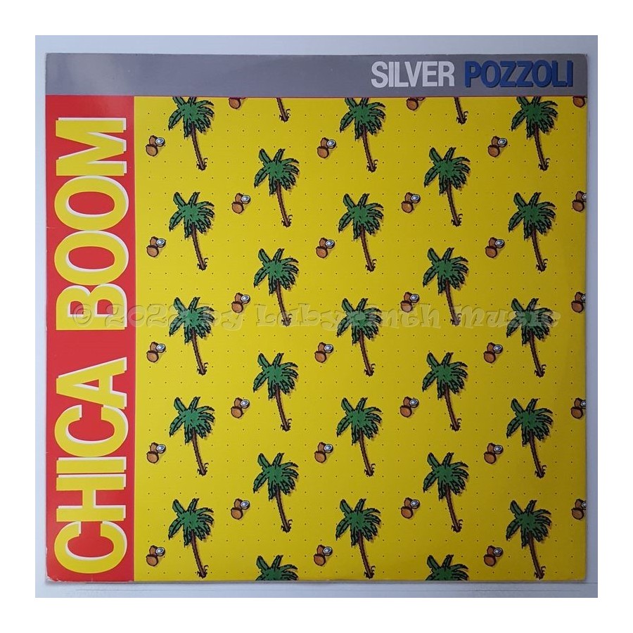 Silver Pozzoli - Chica Boom • 12" Vinyl Maxi - Labyrinth Music