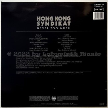 Hong Kong Syndikat - Never Too Much • 12" Vinyl LP • EX - Labyrinth Music