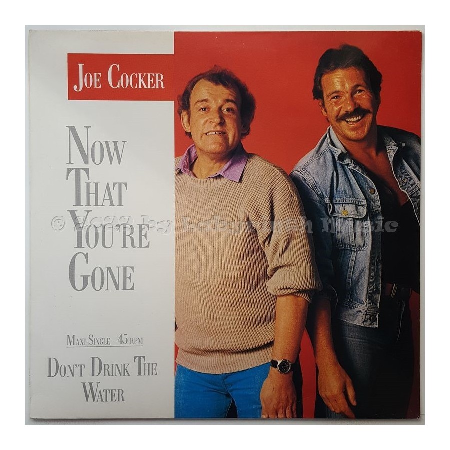 Joe Cocker - Now That You're Gone • 12" Vinyl Maxi • EX - Labyrinth Music