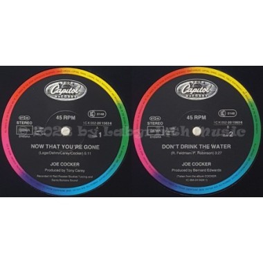 Joe Cocker - Now That You're Gone • 12" Vinyl Maxi - Labyrinth Music