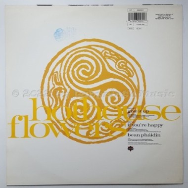 Hothouse Flowers - Give It Up • 12" Vinyl Maxi • EX - Labyrinth Music