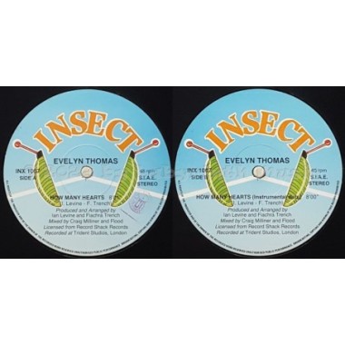 Evelyn Thomas - How Many Hearts • 12" Vinyl Maxi - Labyrinth Music