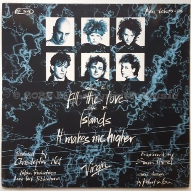 The Other Ones - All The Love • 12" Vinyl Maxi • EX - Labyrinth Music