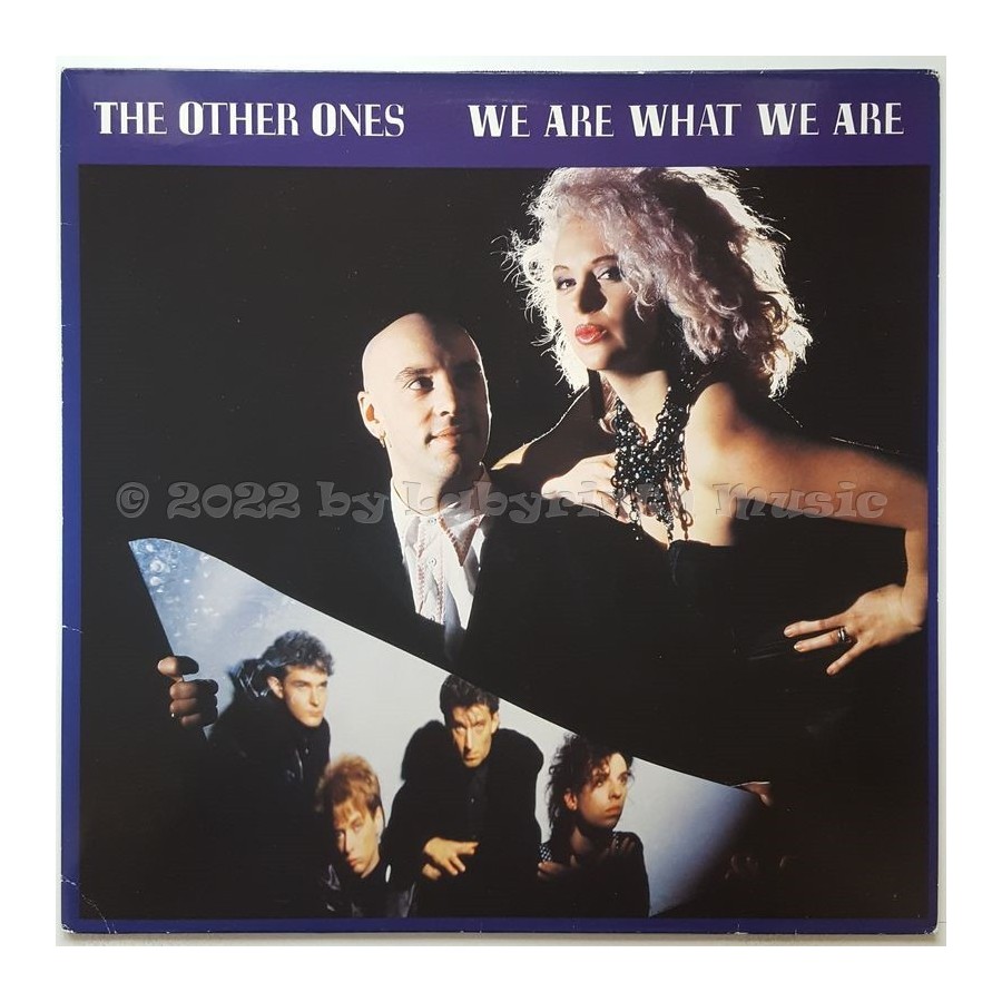 The Other Ones - We Are What We Are • 12" Vinyl Maxi - Labyrinth Music
