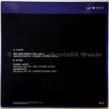 The Other Ones - We Are What We Are • 12" Vinyl Maxi - Labyrinth Music