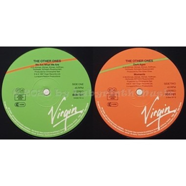 The Other Ones - We Are What We Are • 12" Vinyl Maxi - Labyrinth Music