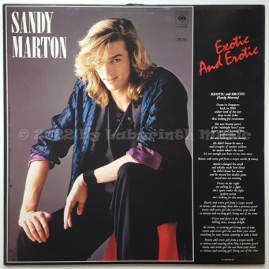 Sandy Marton - Exotic And Erotic • 12" Vinyl Maxi • EX - Labyrinth Music