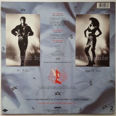 Scarlet Fantastic - No Memory • 12" Vinyl Maxi - Labyrinth Music