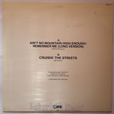 Boys Town Gang - Ain't No Mountain High Enough • 12" Vinyl Maxi - Labyrinth Music