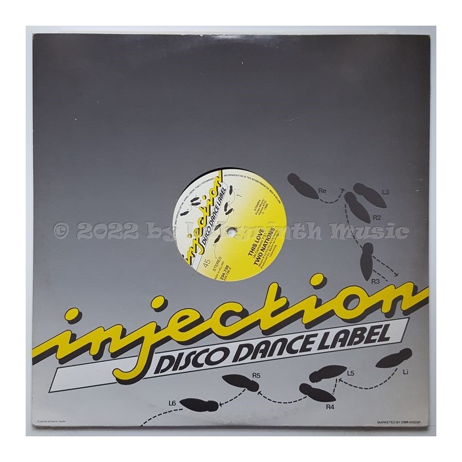 Two Nations - This Love • 12" Vinyl Maxi • MINT - Labyrinth Music