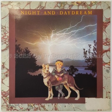 Ananta - Night And Daydream • 12" Vinyl LP • EX - Labyrinth Music
