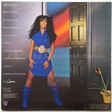 Donna Summer - Donna Summer • 12" Vinyl LP • NM - Labyrinth Music