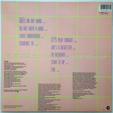 Fatback - So Delicious • 12" Vinyl LP • EX - Labyrinth Music