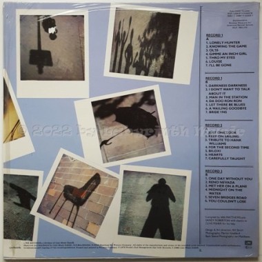 Ian Matthews - Discreet Repeat • 12" Vinyl LP • MINT - Labyrinth Music