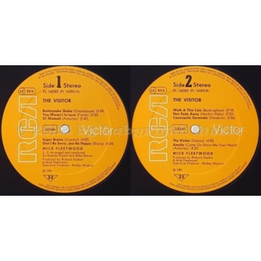 Mick Fleetwood - The Visitor • 12" Vinyl LP • MINT - Labyrinth Music