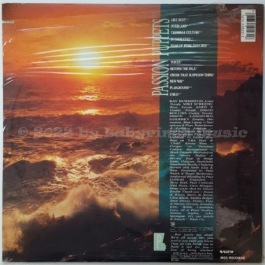 Passion Puppets - Beyond The Pale • 12" Vinyl LP • MINT - Labyrinth Music