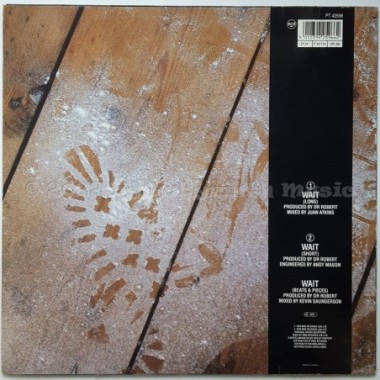 Robert Howard & Kym Mazelle - Wait • 12" Vinyl Maxi - Labyrinth Music