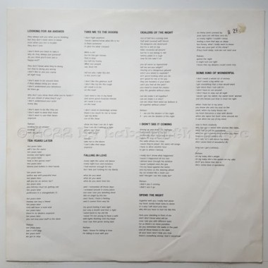 Viva - Dealers Of The Night • 12" Vinyl LP - Labyrinth Music