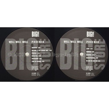 Well Well Well - Phoenix • 12" Vinyl LP • MINT - Labyrinth Music