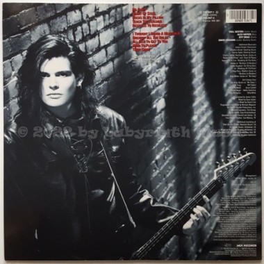 Will And The Kill - Will And The Kill • 12" Vinyl LP • MINT - Labyrinth Music