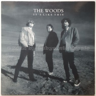The Woods - It's Like This • 12" Vinyl LP • EX - Labyrinth Music