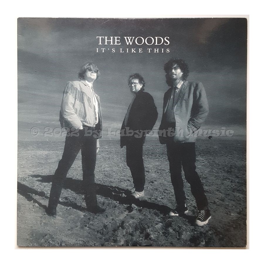 The Woods - It's Like This • 12" Vinyl LP • EX - Labyrinth Music