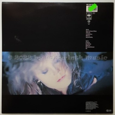 Alison Moyet - Raindancing • 12" Vinyl LP • NM - Labyrinth Music