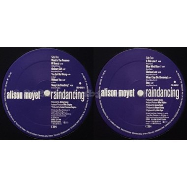 Alison Moyet - Raindancing • 12" Vinyl LP • NM - Labyrinth Music