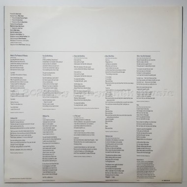 Alison Moyet - Raindancing • 12" Vinyl LP • NM - Labyrinth Music