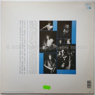 Carmel - The Falling • 12" Vinyl LP • EX - Labyrinth Music