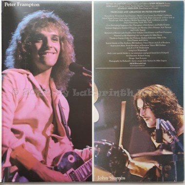 Peter Frampton - Frampton Comes Alive • 12" Vinyl LP • EX - Labyrinth Music