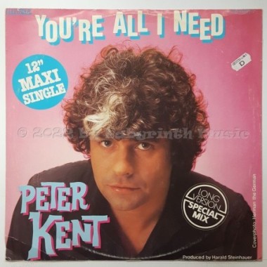 Peter Kent - You're All I Need • 12" Vinyl Maxi • EX - Labyrinth Music