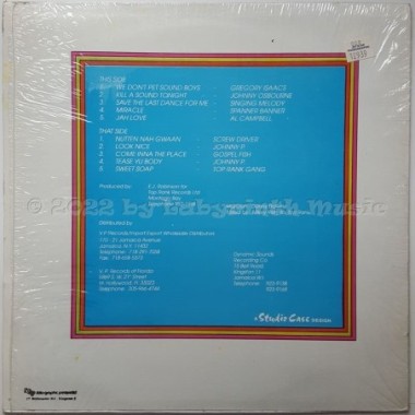 Various - Reggae Soap / Sweet Soaplam Dunk • 12" Vinyl LP • MINT - Labyrinth Music