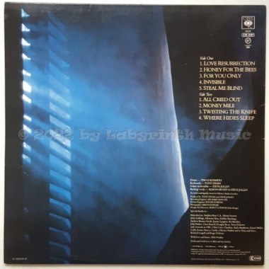 Alison Moyet - Alf • 12" Vinyl LP • NM - Labyrinth Music