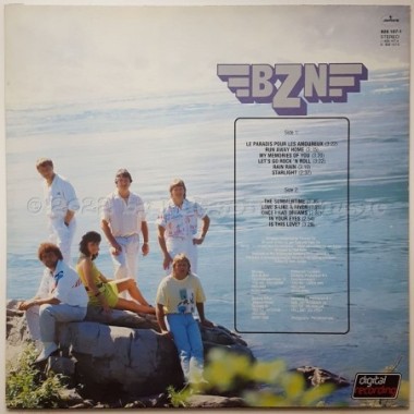 BZN - Maid Of The Mist • 12" Vinyl LP • NM - Labyrinth Music