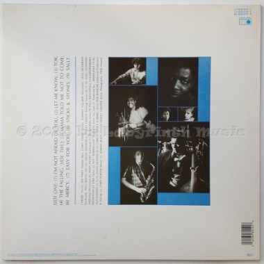 Carmel - The Falling • 12" Vinyl LP • NM - Labyrinth Music