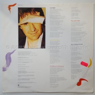 Chris De Burgh - Into The Light • 12" Vinyl LP • NM - Labyrinth Music