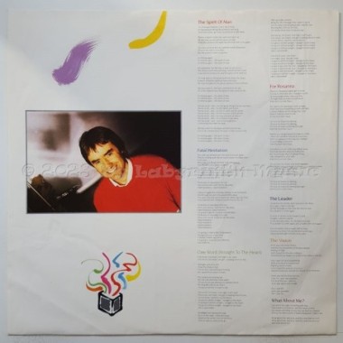Chris De Burgh - Into The Light • 12" Vinyl LP • EX - Labyrinth Music
