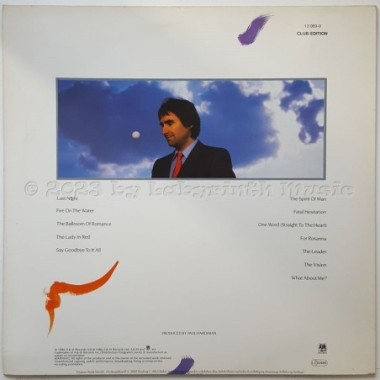Chris De Burgh - Into The Light • 12" Vinyl LP • EX - Labyrinth Music
