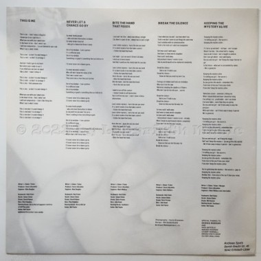 Climie Fisher - Everything • 12" Vinyl LP • EX - Labyrinth Music